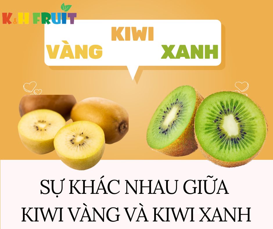 Những đặc điểm khác nhau giữa kiwi vàng và kiwi xanh!