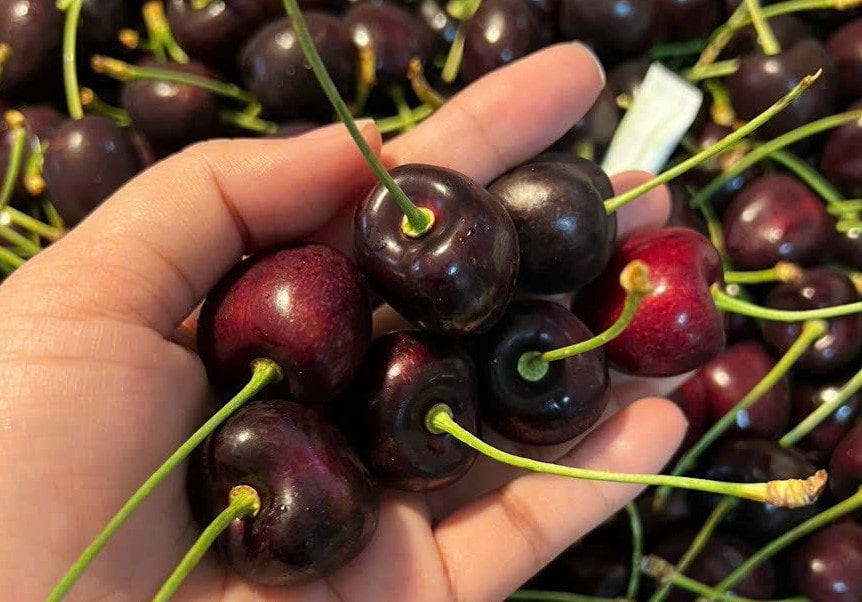 cherry Mỹ