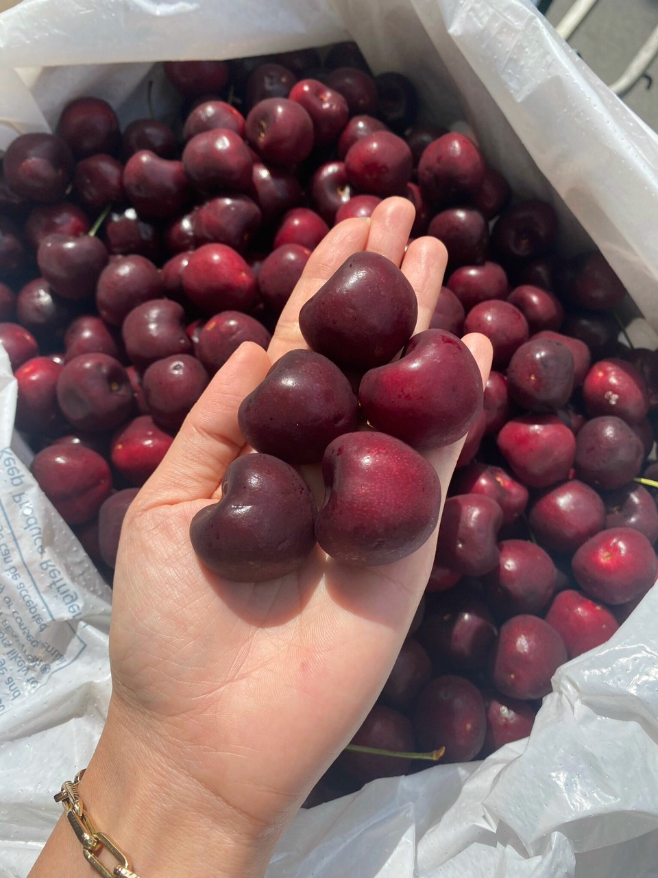 Cherry Úc Thùng 5kg Sale Không cuống