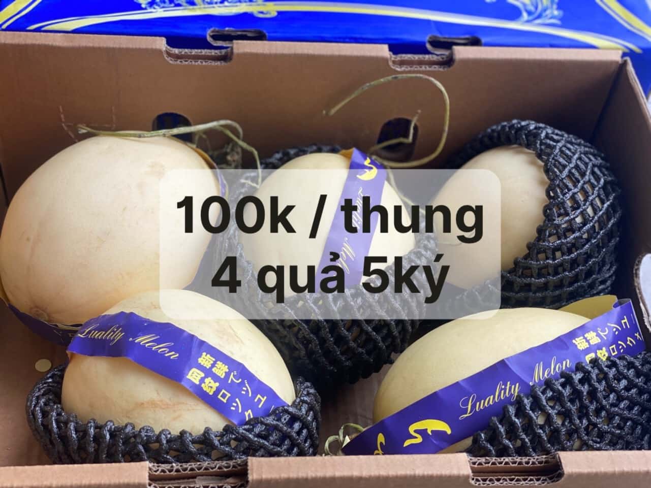Trái Cây Thùng Sale Tại Tony Tèo Fruit