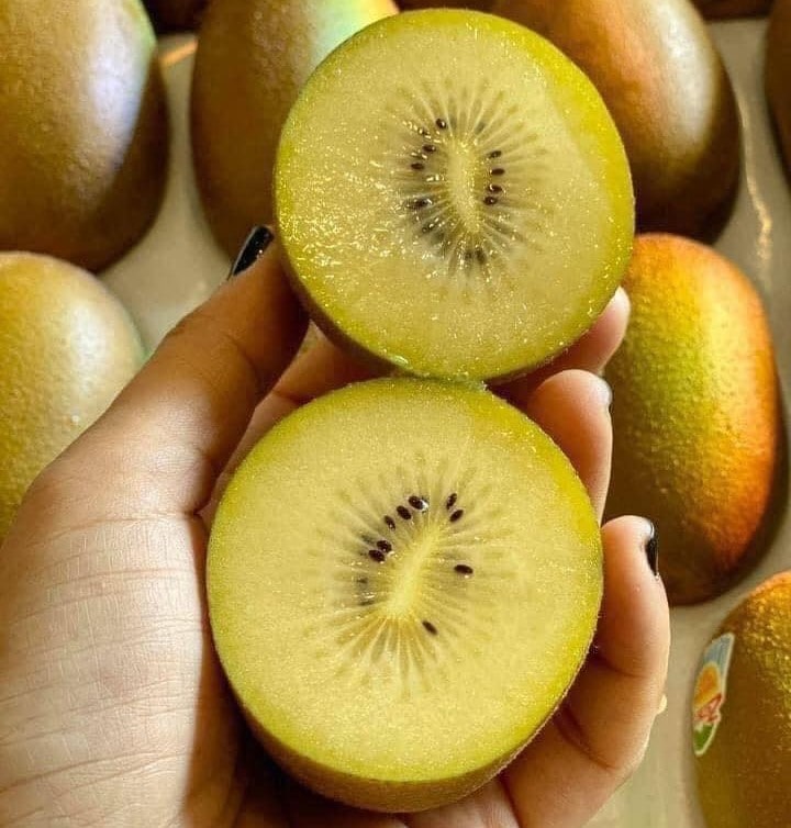 Kiwi vàng New Zealand: Siêu quả thơm ngon, dinh dưỡng cao, mang đến sức khỏe vàng