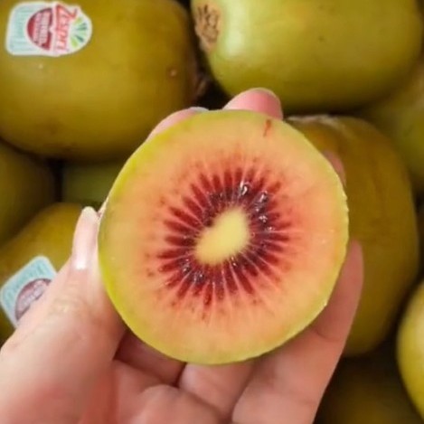 KIWI RUỘT ĐỎ ZESPRI  New Zealand