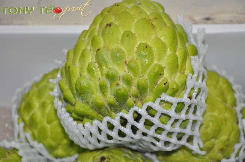 Khám Phá Na Dai Đài Đài Loan Và Các Loại Na Nhập Khẩu Khác