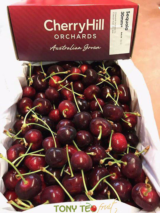 Cherry  Úc hay anh đào là loại trái cây thuộc họ Rosaceae, chi Prunus.