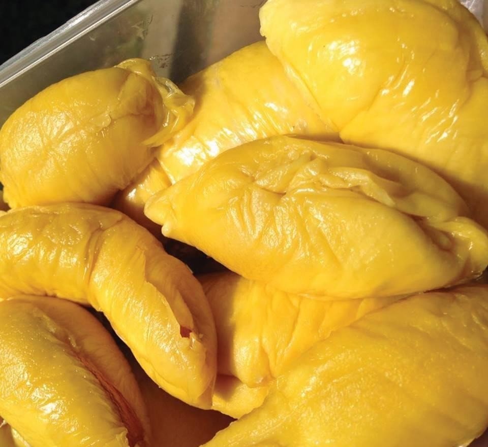 sầu riêng Musang King