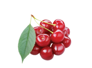 Cherry Mỹ