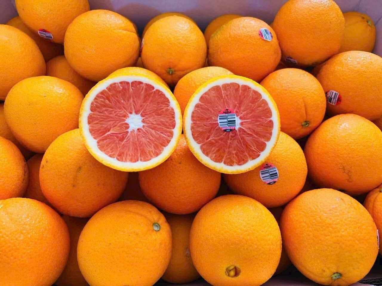 cam cara ruột đỏ