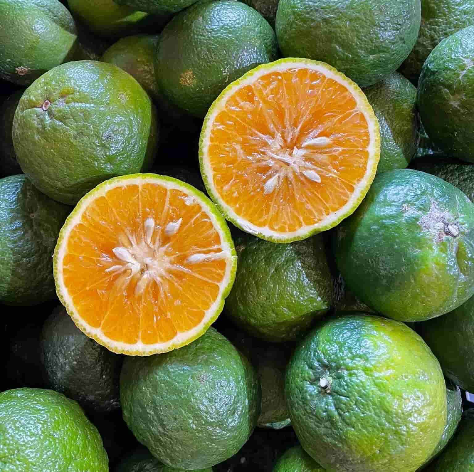 Cam sành Miền tây Loại 1