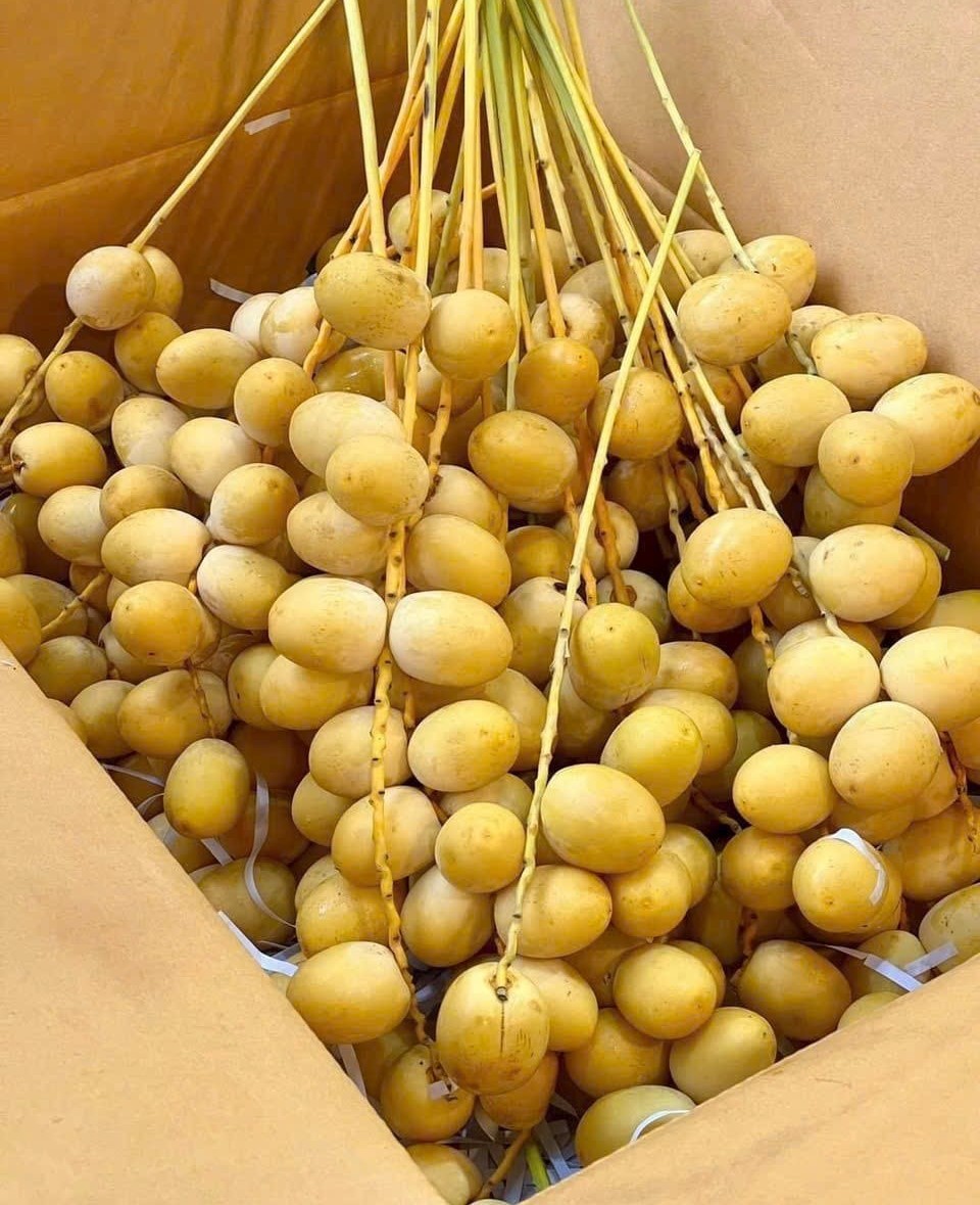 Chà là vàng tươi Thái Lan