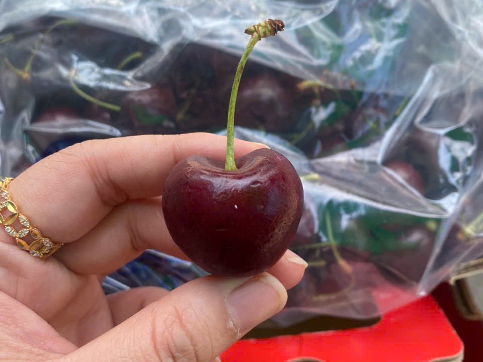 Cherry Chile Vip size 3 jd Sale