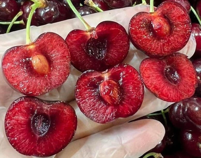 Cherry Mỹ size 9