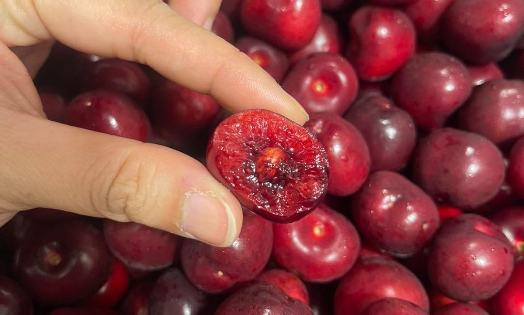 cherry trọc cuống