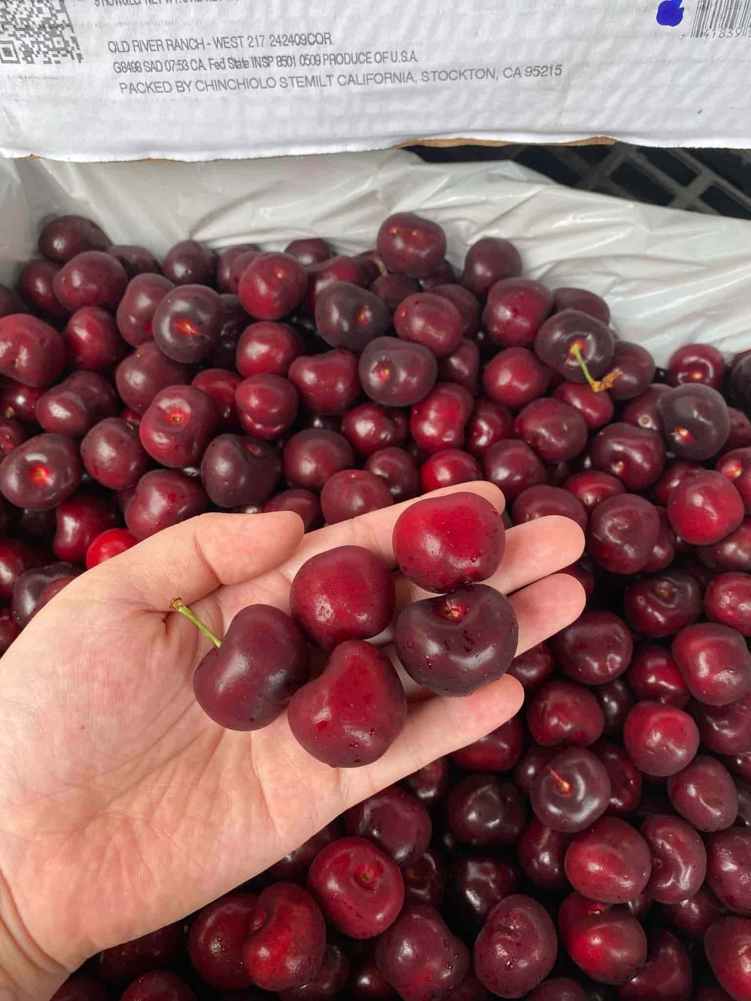 cherry Mỹ trọc cuống thùng 5kg