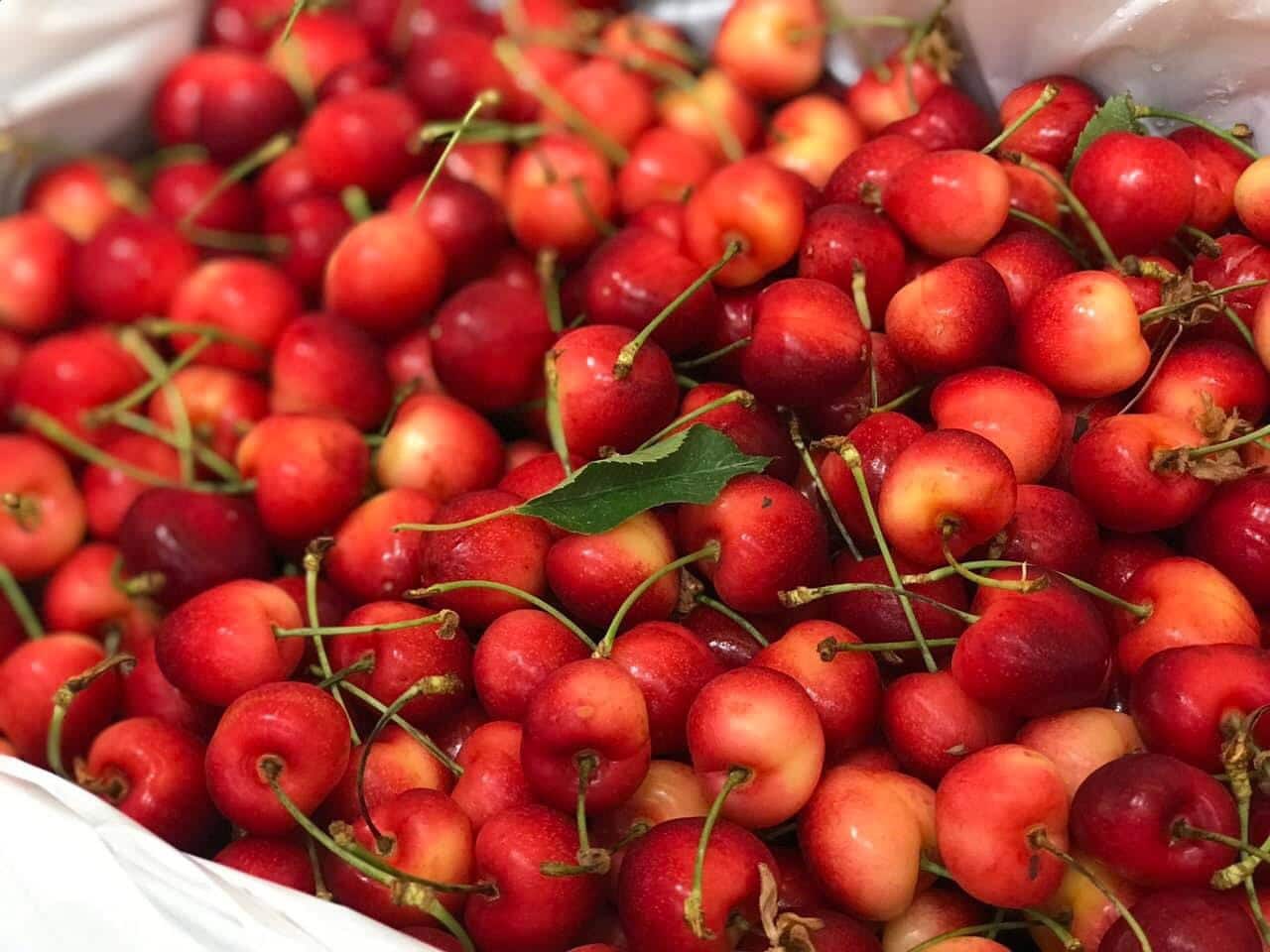 Cherry Vàng Mỹ Thùng