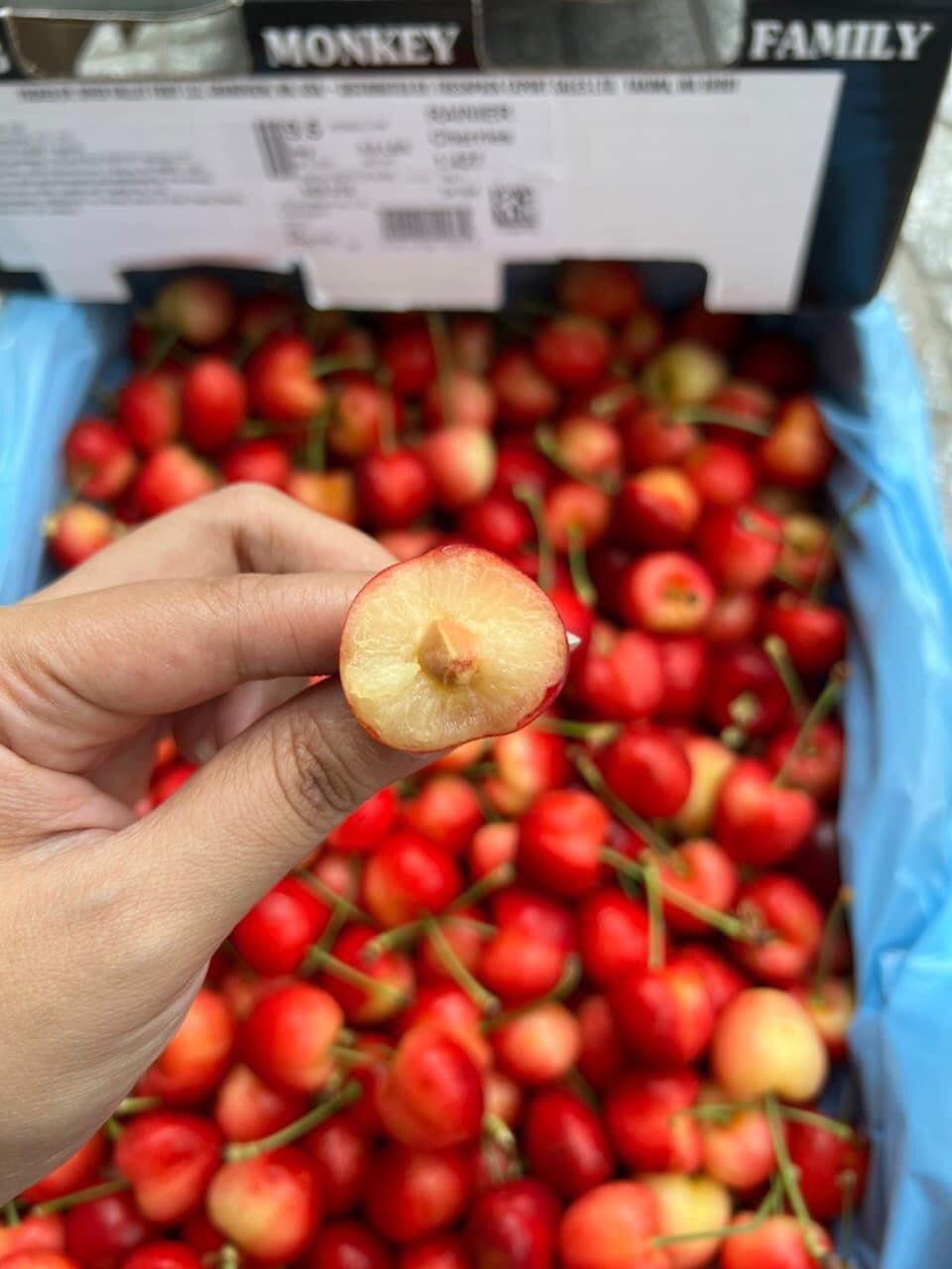 cherry vàng