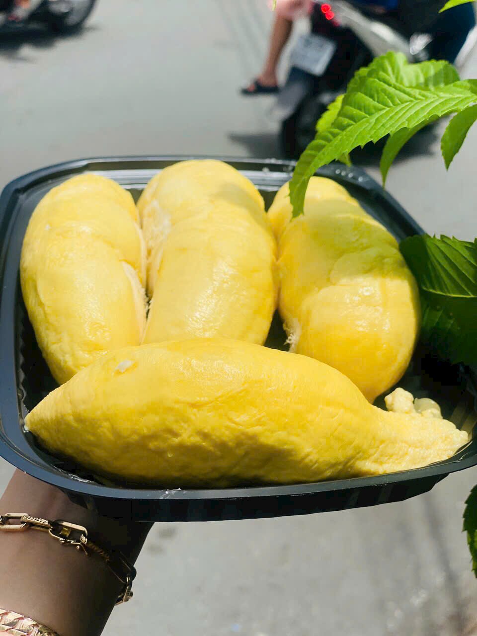 sầu riêng Dona Thái