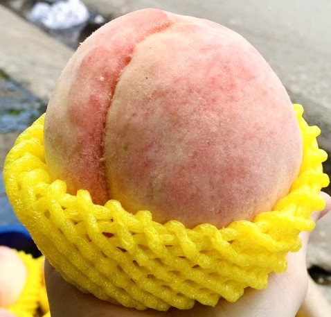 đào tuyết Lệ Giang