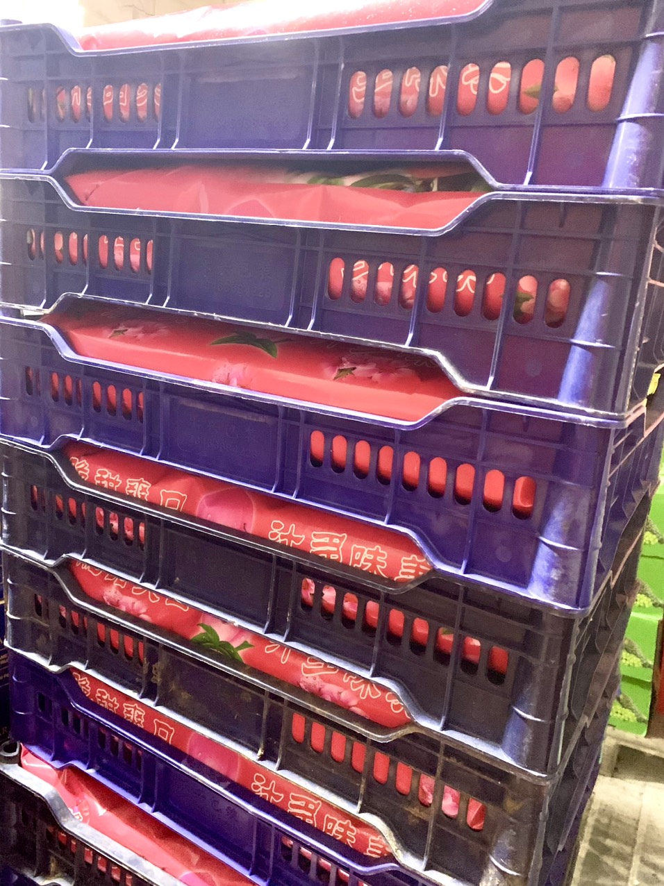 đào tuyết Lệ Giang