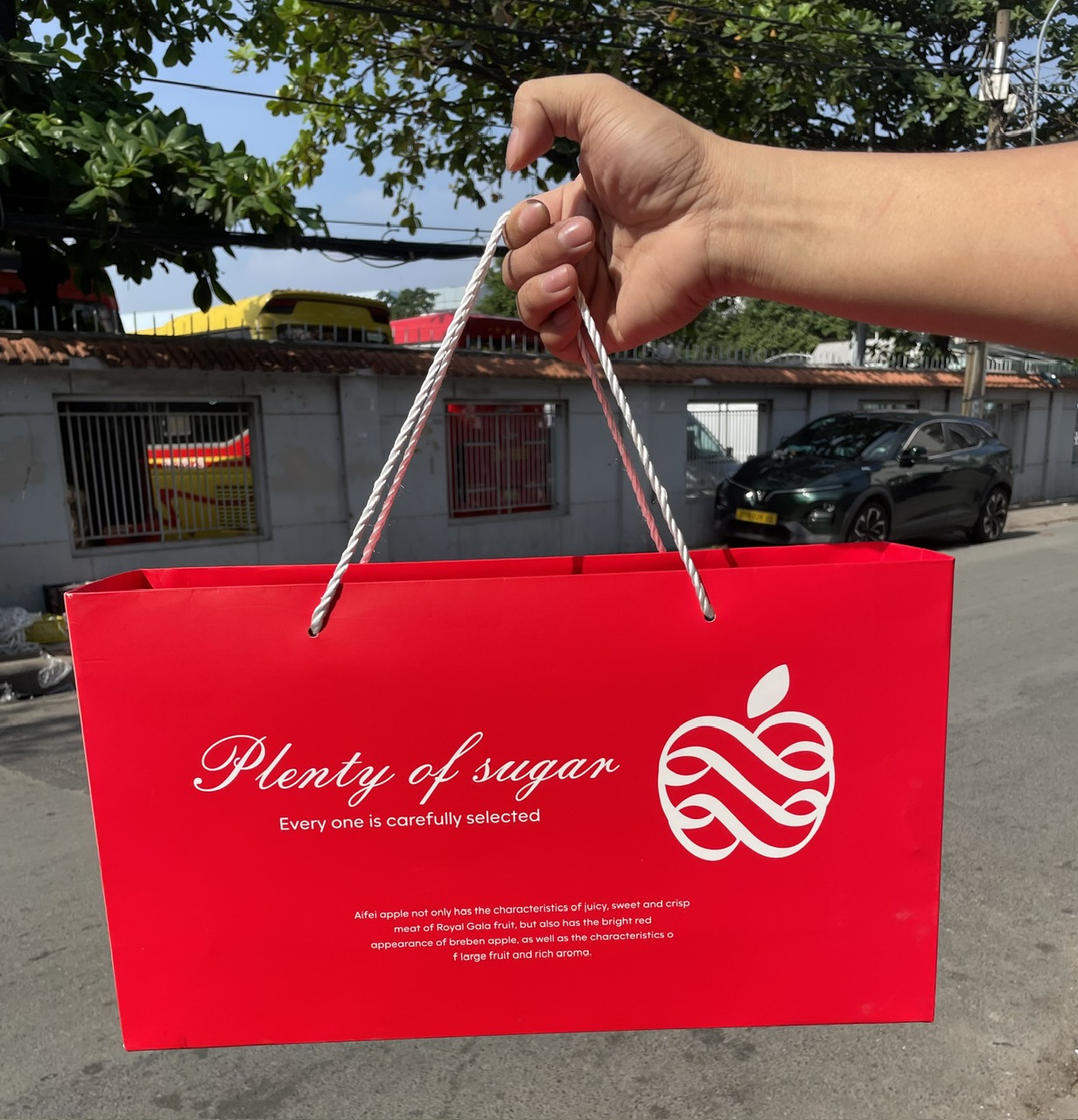 z7398340548217-fa43123cbdebcf2b2ab22c7c9d6848c8