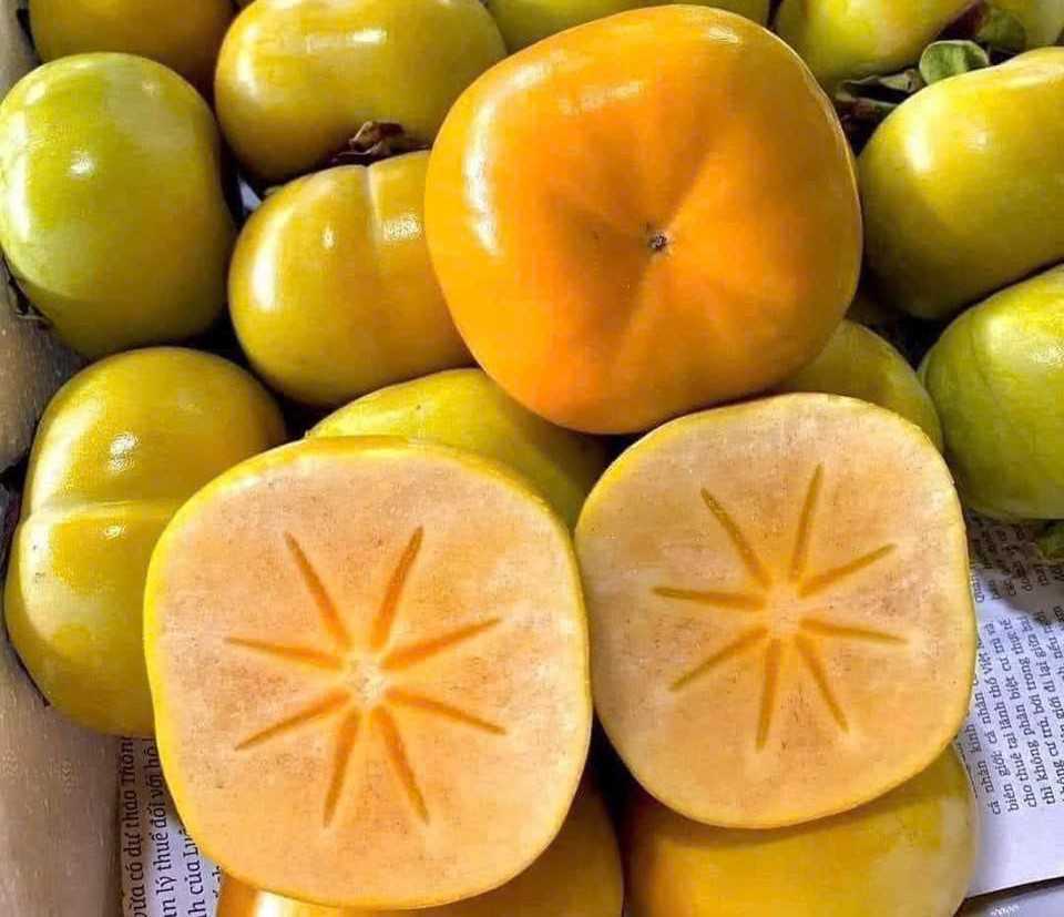 Hồng Giòn Mộc Châu