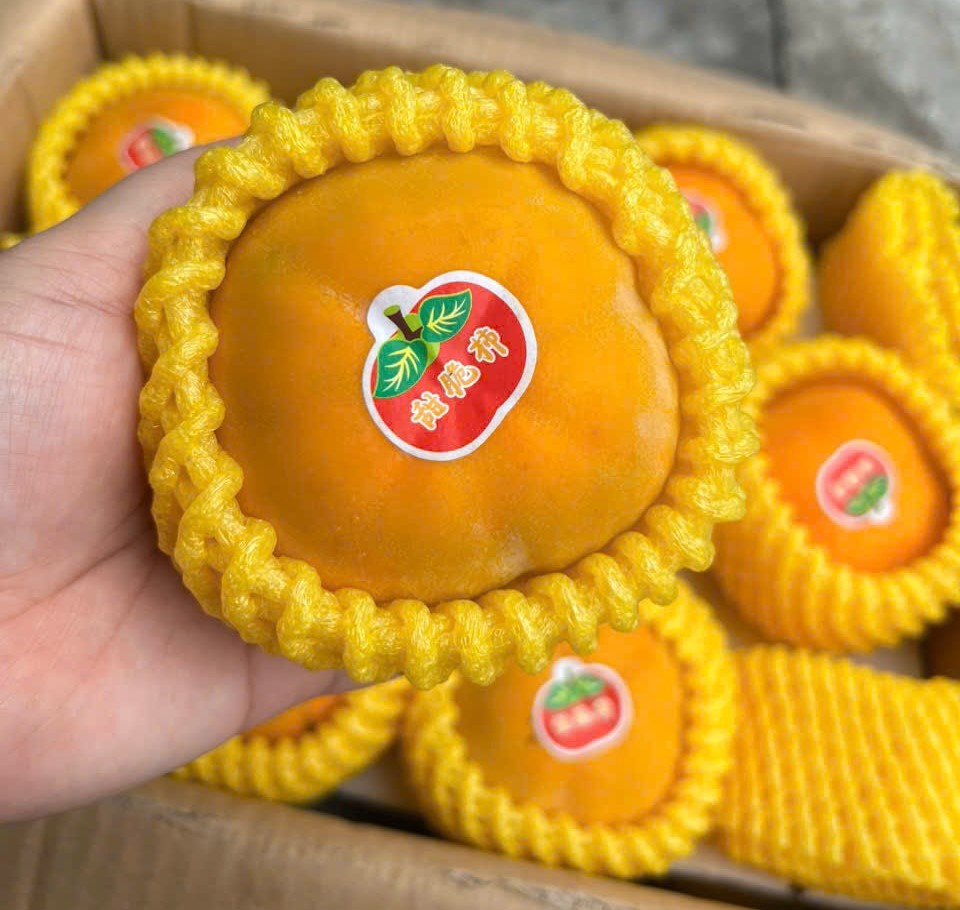 hồng mật Vân Sơn