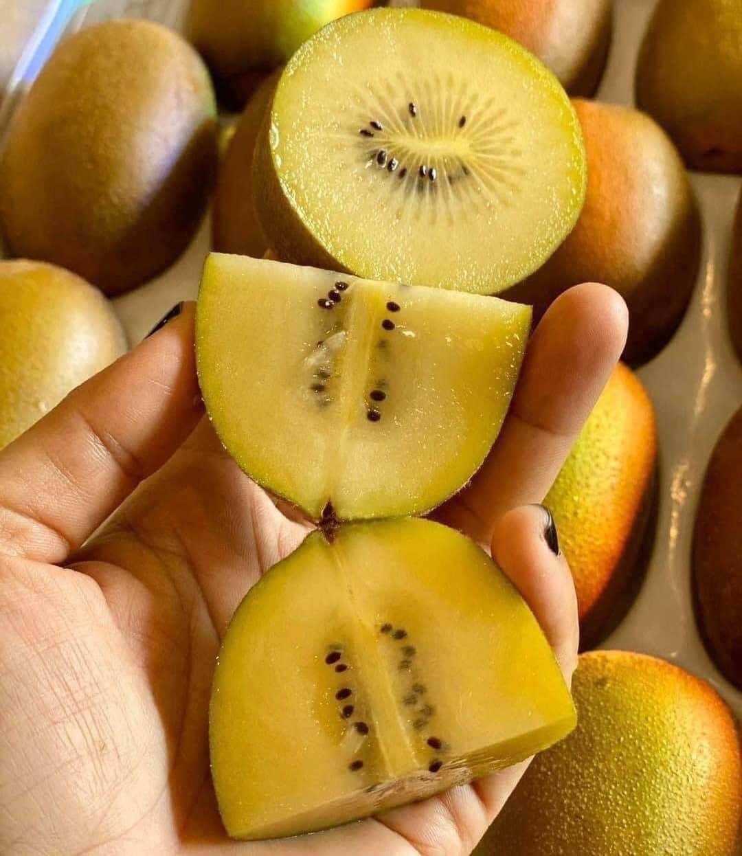 kiwi vàng