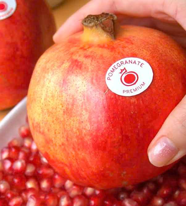 ruot-luu-organic-nhap-khau