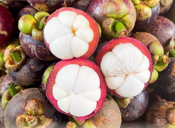 măng cụt