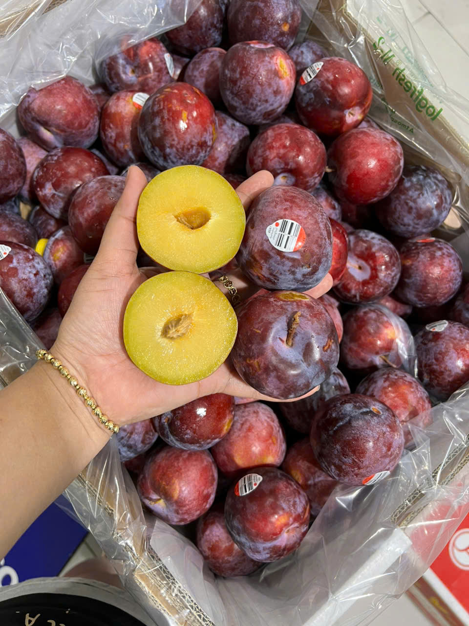 MẬN ÚC RUỘT VÀNG