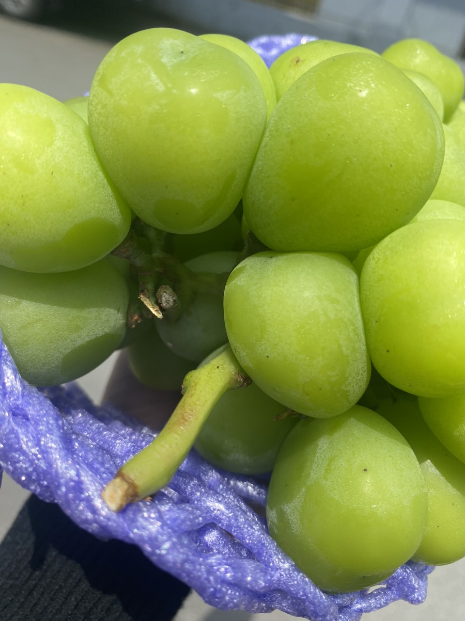 nho mẫu đơn hộp 300g