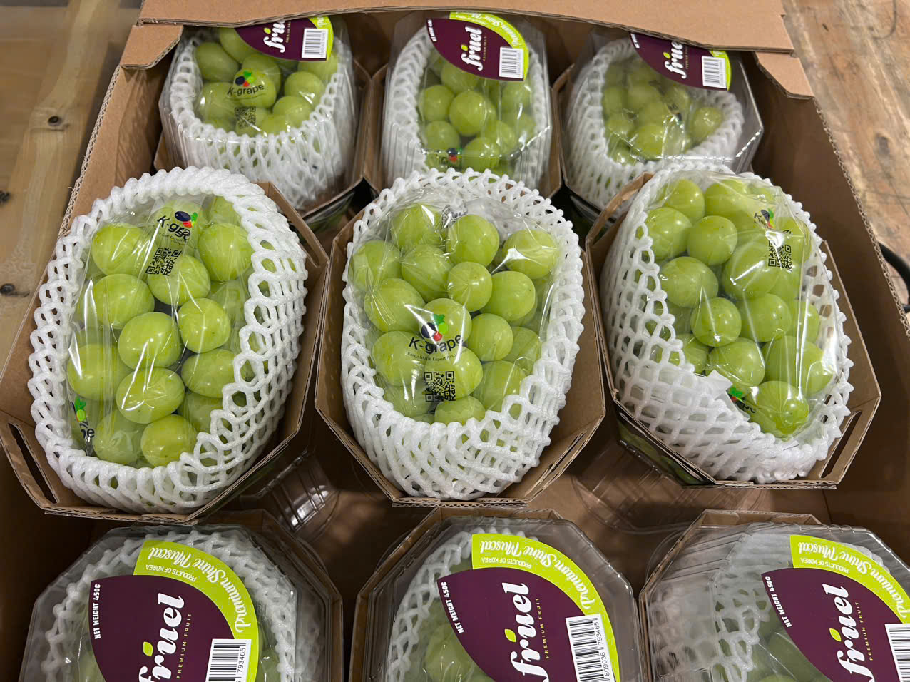 Bảng báo giá