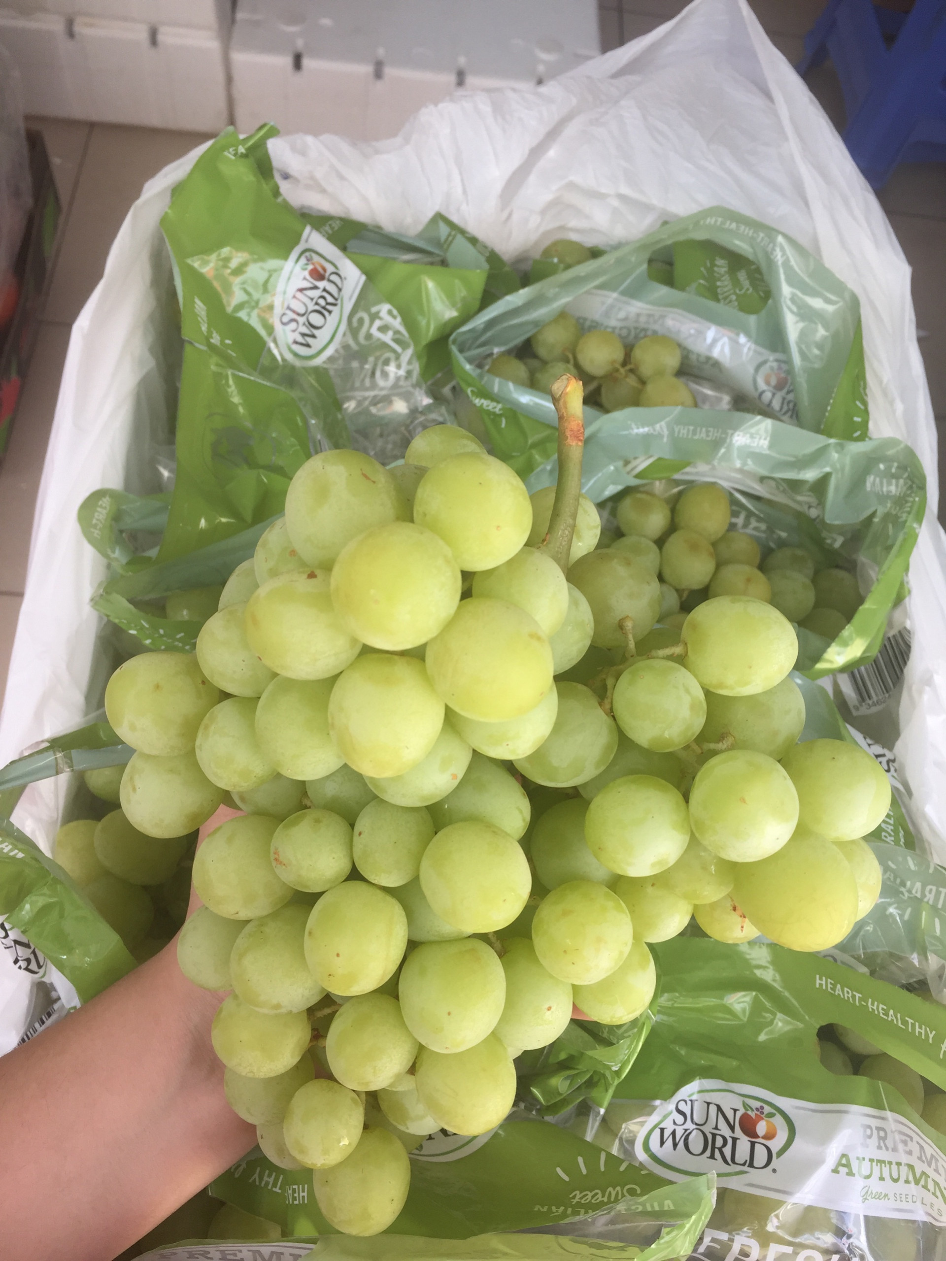 Nho xanh Autunm