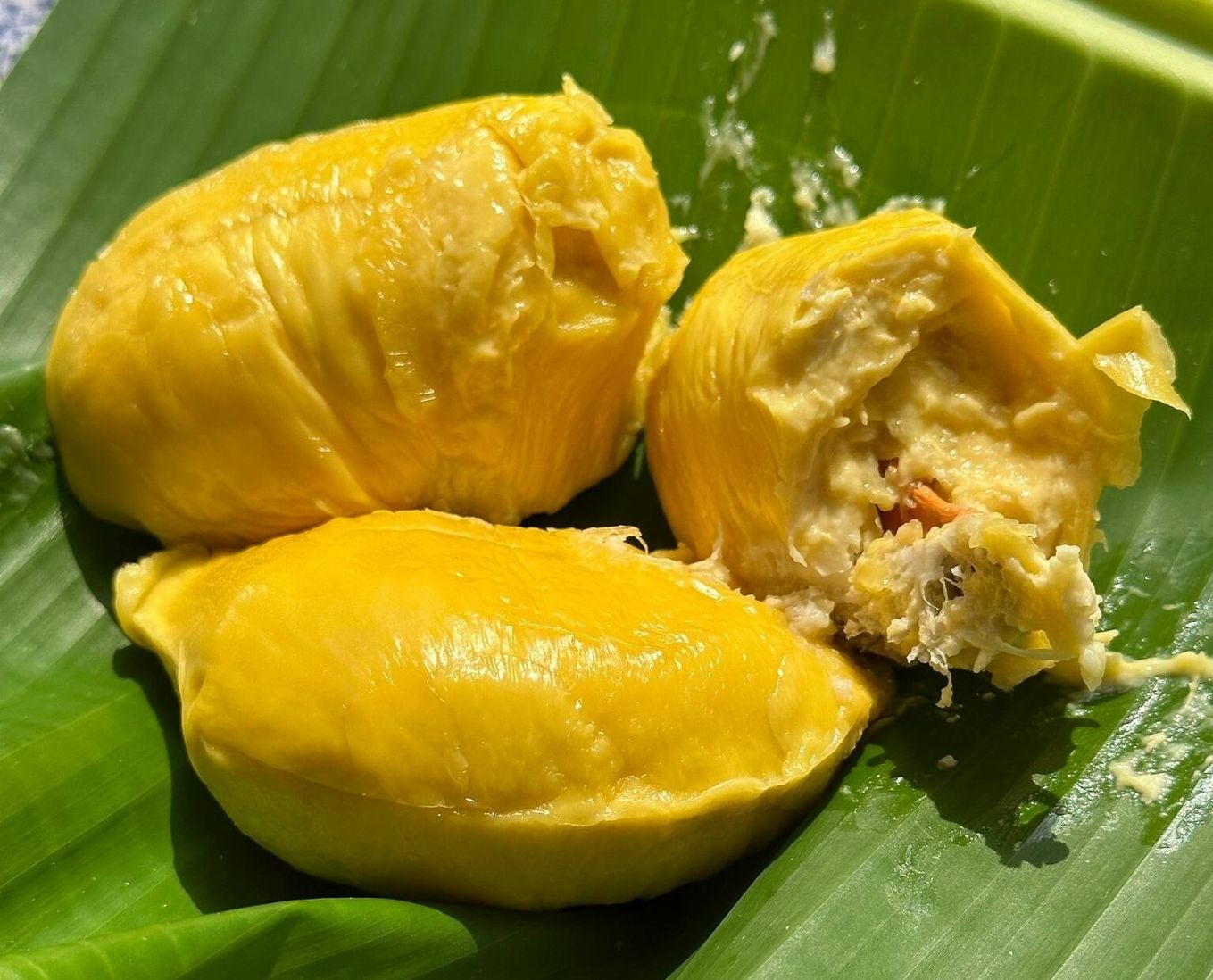sầu riêng musang king