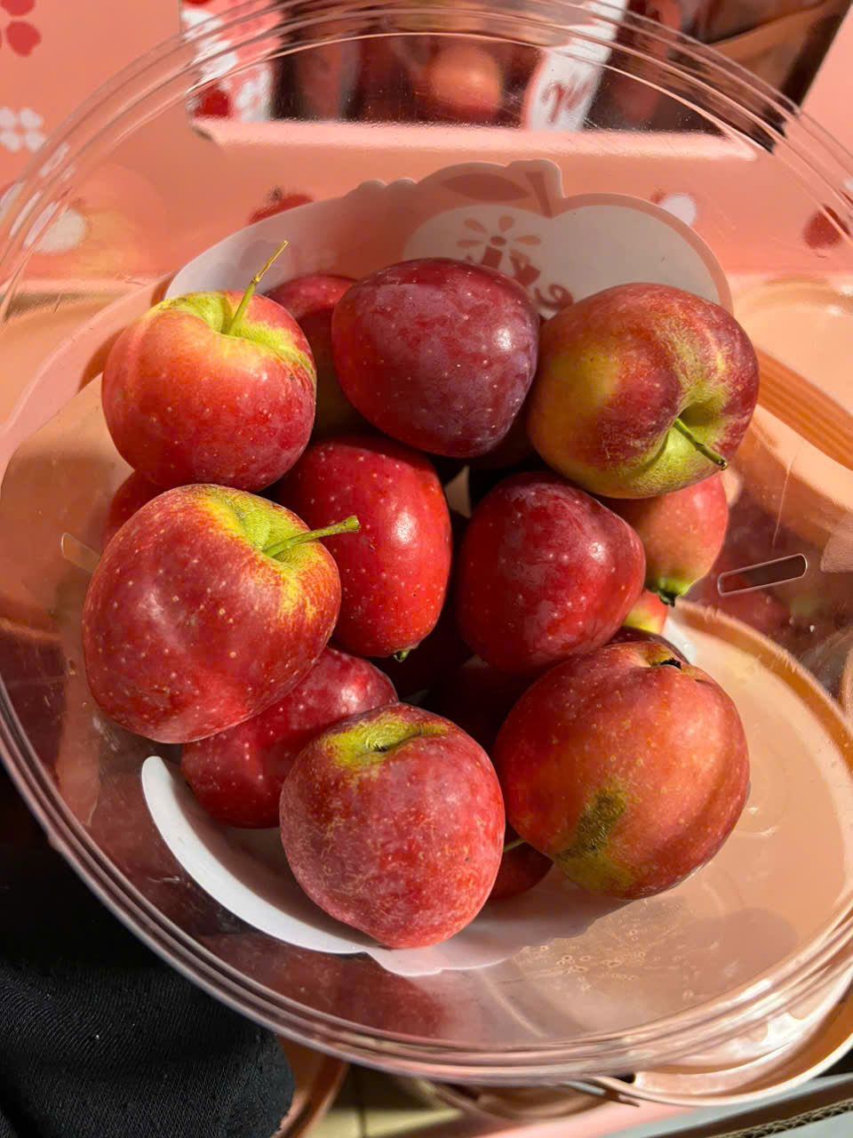 táo cherry