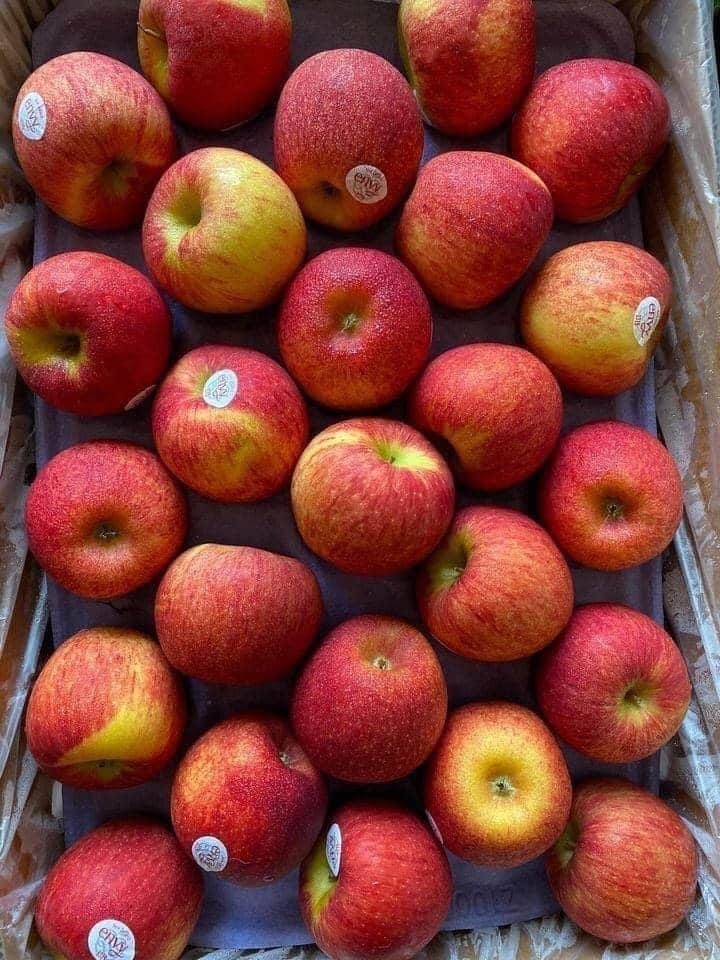 táo envy New Zealand