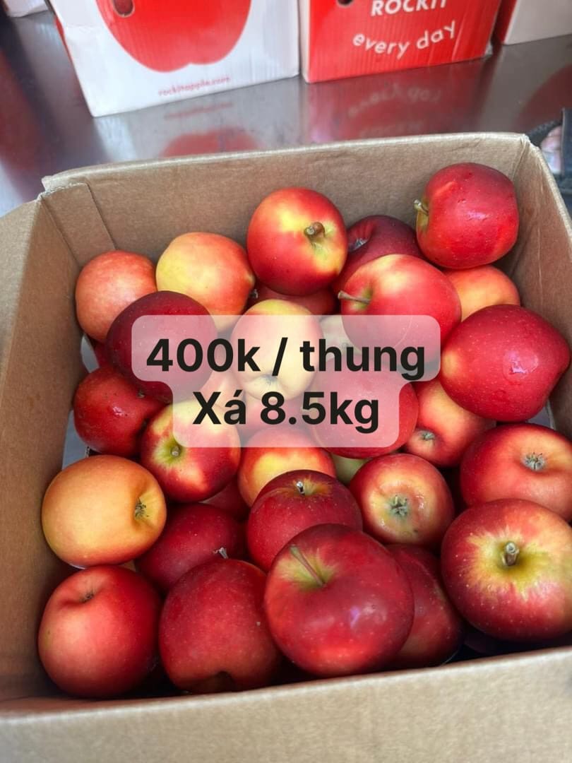 táo rockit thùng xá