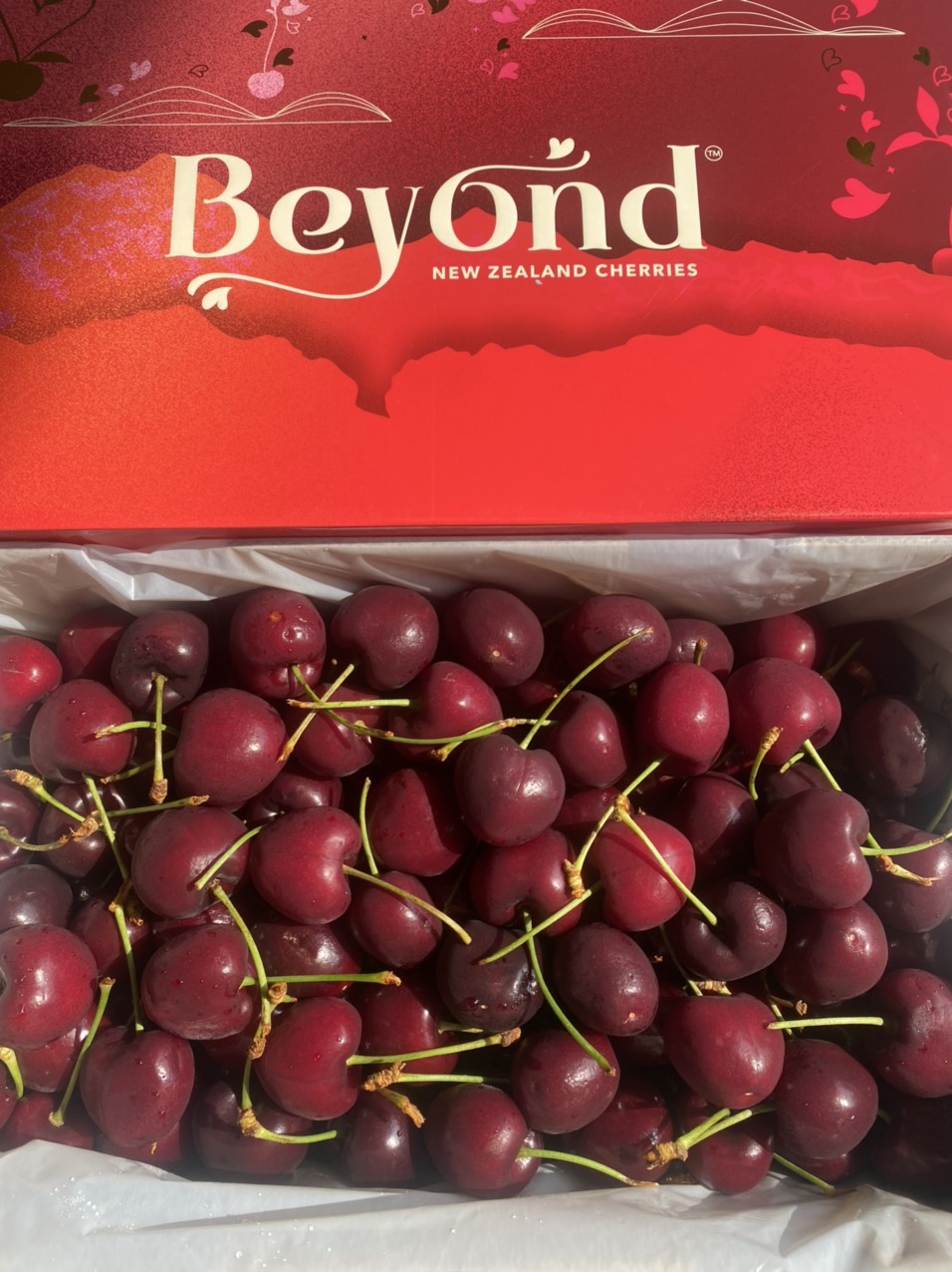 Cherry nhập khẩu - New Zealand