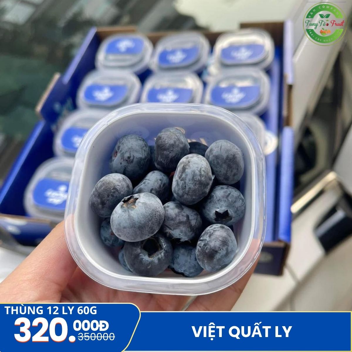 việt quất ly
