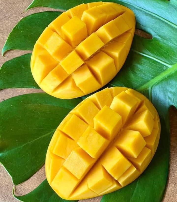 xoài cát Hòa Lộc